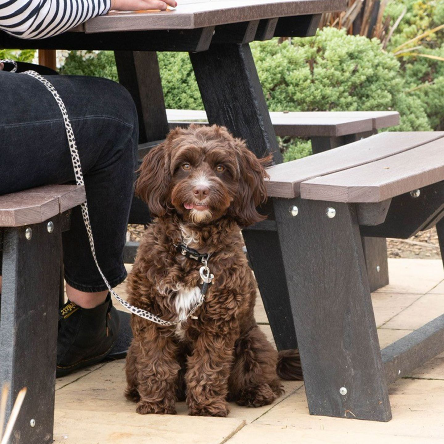 Your local dog friendly pub in WEDNESFIELD